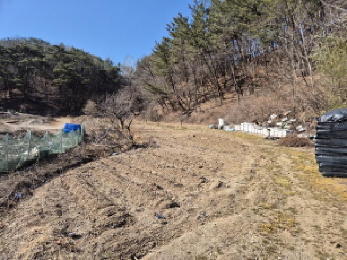 2025타경10165 경매 물건 대표 사진