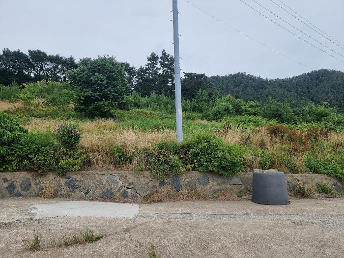 2024타경2334 경매 물건 대표 사진