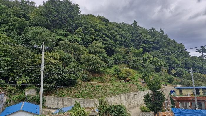 2024타경35068 경매 물건 대표 사진