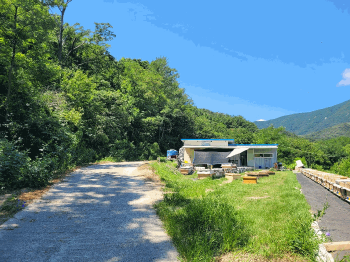 2025타경285 경매 물건 대표 사진