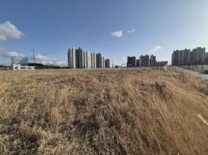 2025타경290 포항지원 대지 법원경매 사진