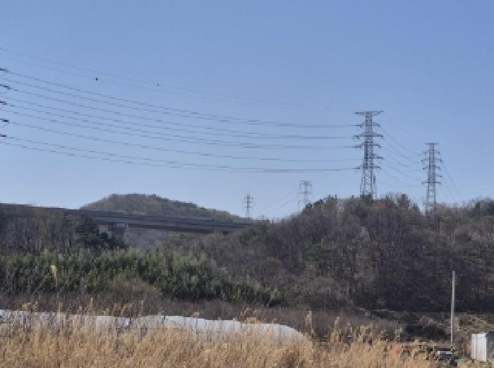 2025타경300 포항지원 임야 법원경매 사진