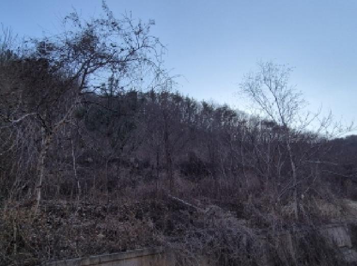 2025타경3242 경매 물건 대표 사진