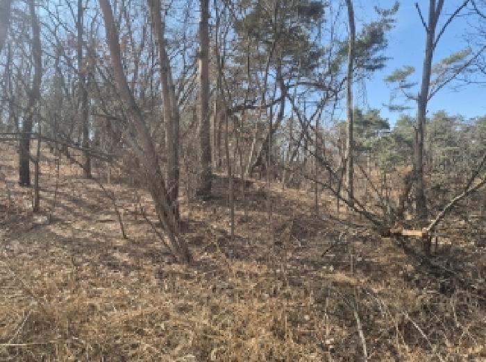 2025타경3538 경매 물건 대표 사진