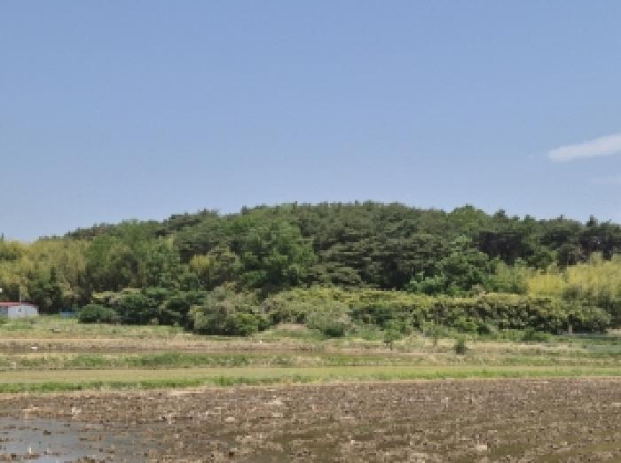 2025타경362 경매 물건 대표 사진
