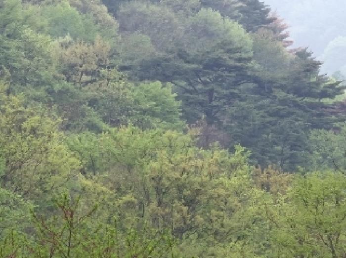 2025타경3664 경매 물건 대표 사진