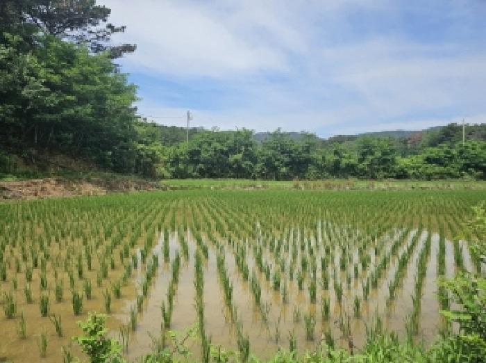 2025타경3836 경매 물건 대표 사진