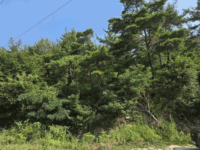 2025타경3948 경매 물건 대표 사진