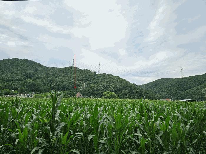 2025타경3987 경매 물건 대표 사진