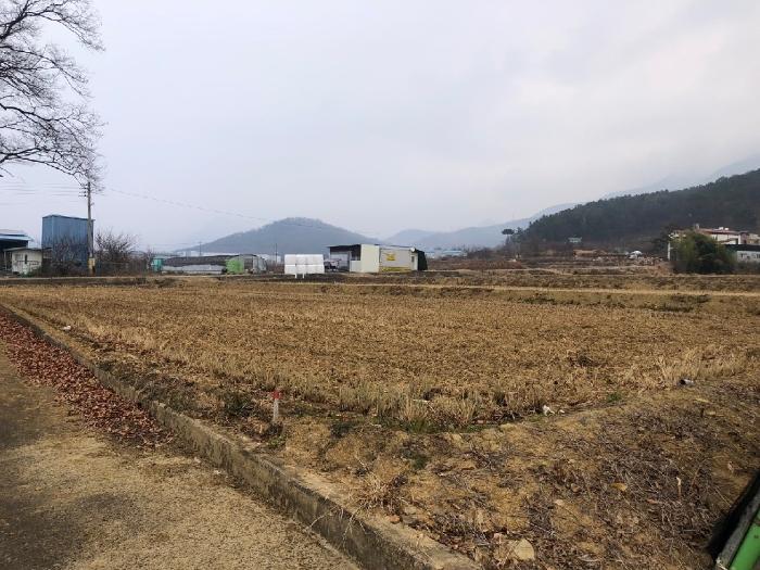 2024타경44952 경매 물건 대표 사진