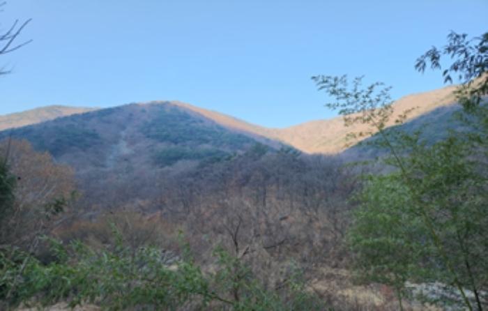 2024타경45351 경매 물건 대표 사진