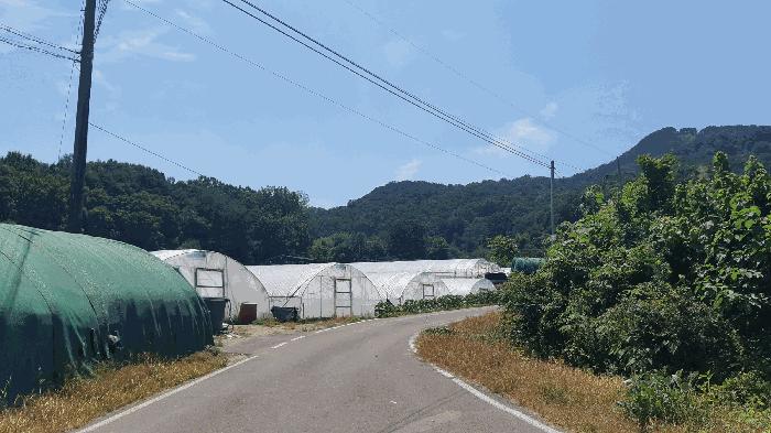 2025타경2153 경매 물건 대표 사진