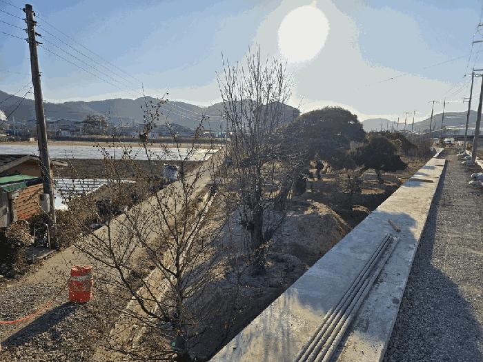 2025타경30934 대구서부지원 답 법원경매 사진