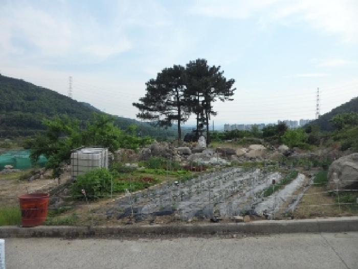 2025타경31228 대구서부지원 대지 법원경매 사진
