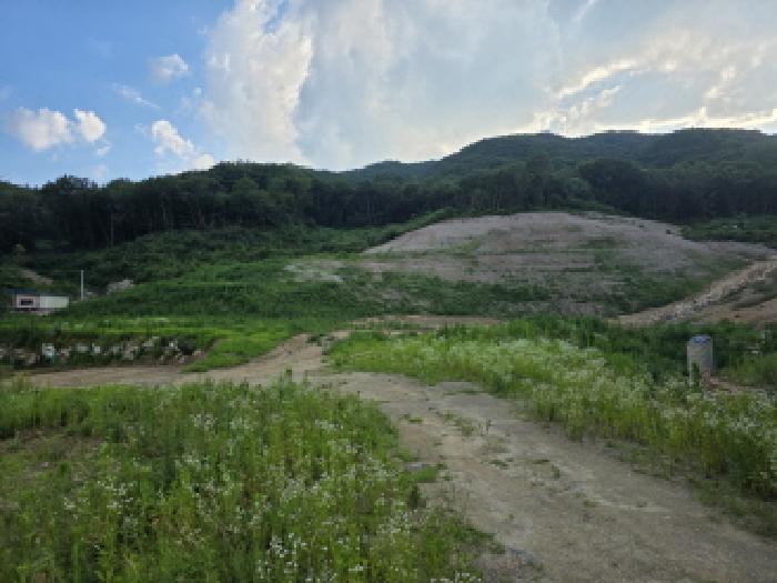 2025타경31245 경매 물건 대표 사진
