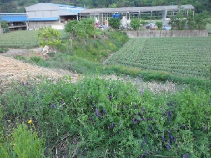 2025타경31247 경매 물건 대표 사진