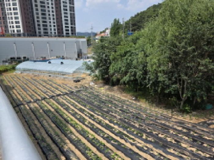 2025타경31285 경매 물건 대표 사진