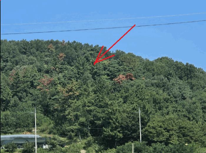 2025타경31747 경매 물건 대표 사진