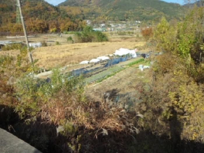 2025타경31933 경매 물건 대표 사진