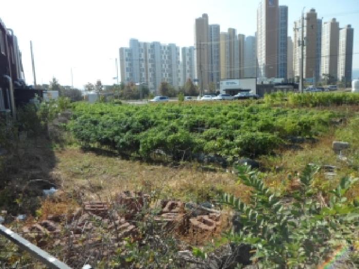 2025타경31934 경매 물건 대표 사진