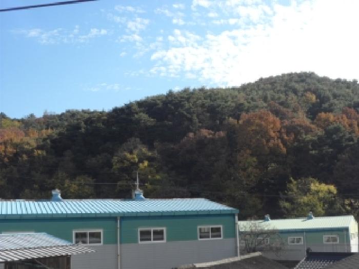 2025타경31954 경매 물건 대표 사진