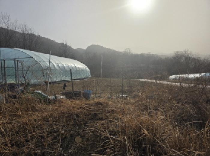 2025타경31983 대구서부지원 전답 법원경매 사진