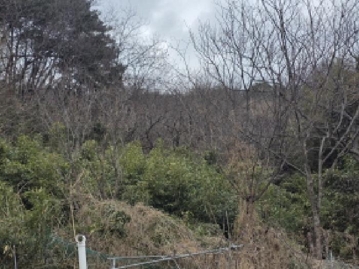 2025타경32197 경매 물건 대표 사진
