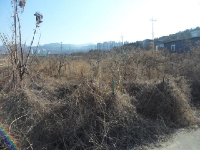 2025타경32247 경매 물건 대표 사진