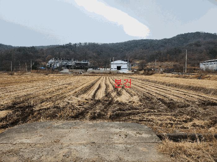 2025타경32254 경매 물건 대표 사진