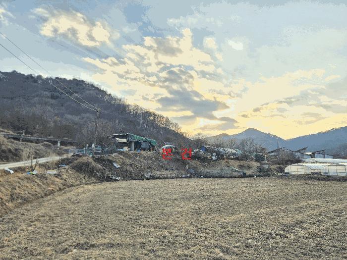 2025타경32258 경매 물건 대표 사진