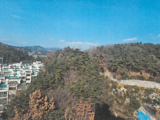 2025타경203 경매 물건 대표 사진