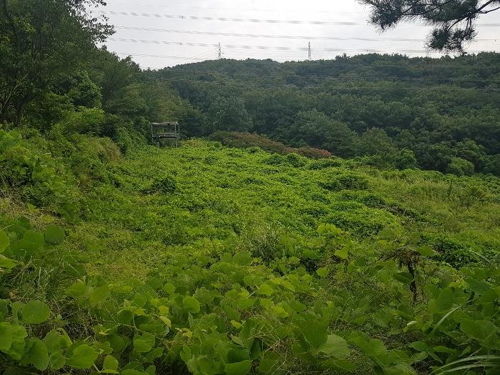 2022타경5286 경매 물건 대표 사진