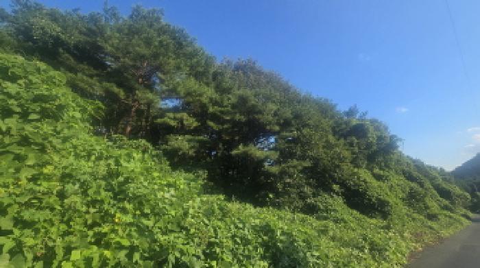 2023타경6651 경매 물건 대표 사진
