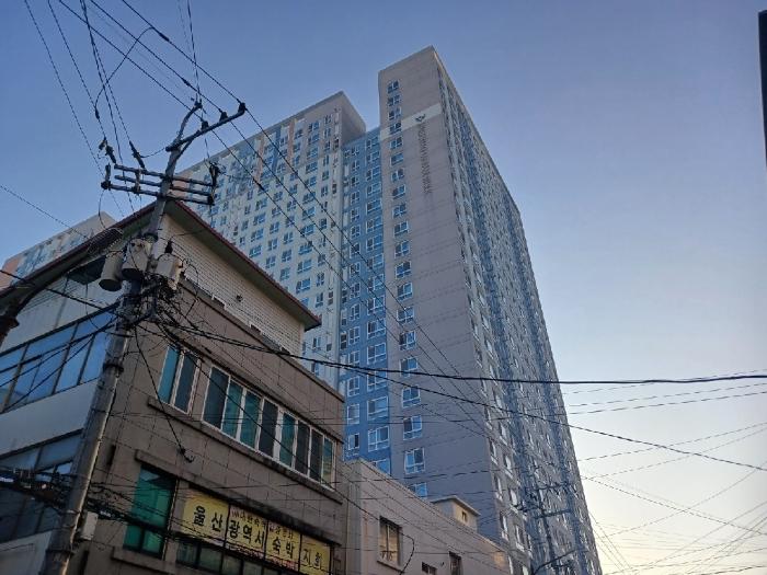 2024타경118988 경매 물건 대표 사진