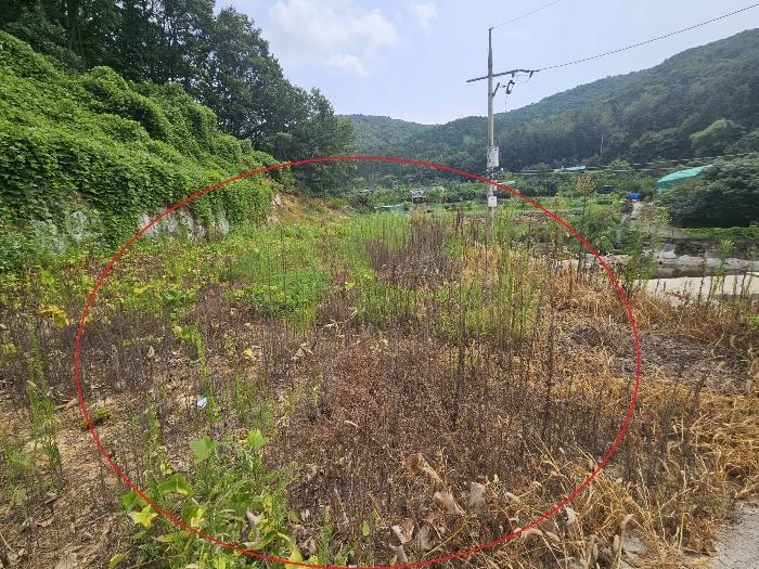2024타경6702 울산지방법원 대지,임야,전답 법원경매 사진