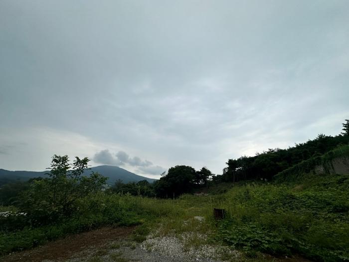 2024타경7231 경매 물건 대표 사진