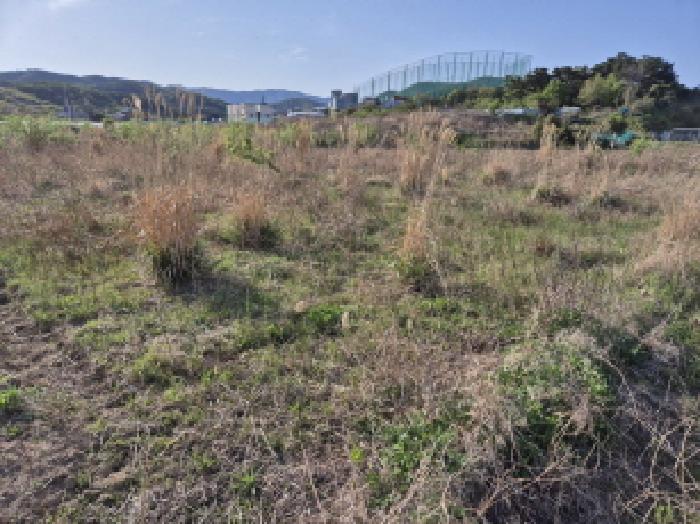 2025타경1030 울산지방법원 전답 법원경매 사진