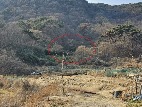 2025타경10845 경매 물건 대표 사진