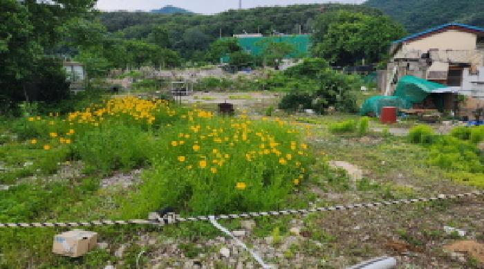 2025타경1113 울산지방법원 대지 법원경매 사진