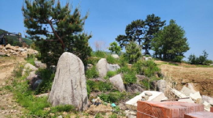 2025타경11563 경매 물건 대표 사진