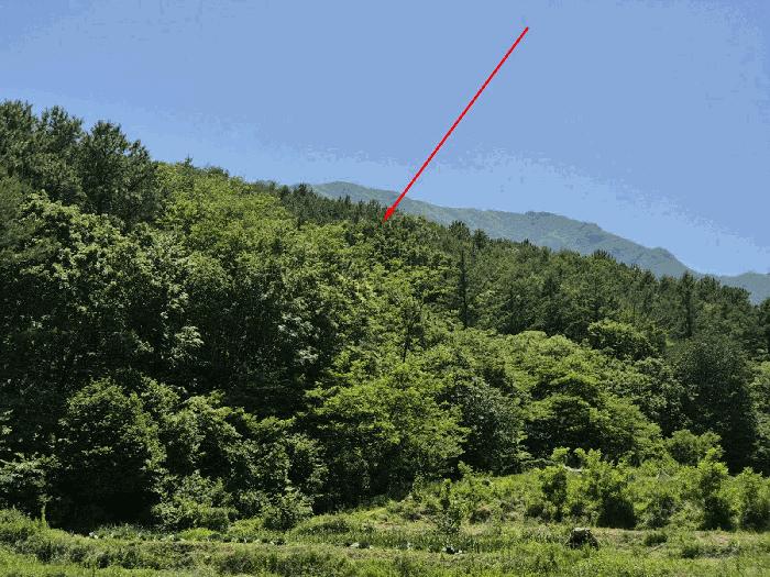 2025타경11874 경매 물건 대표 사진