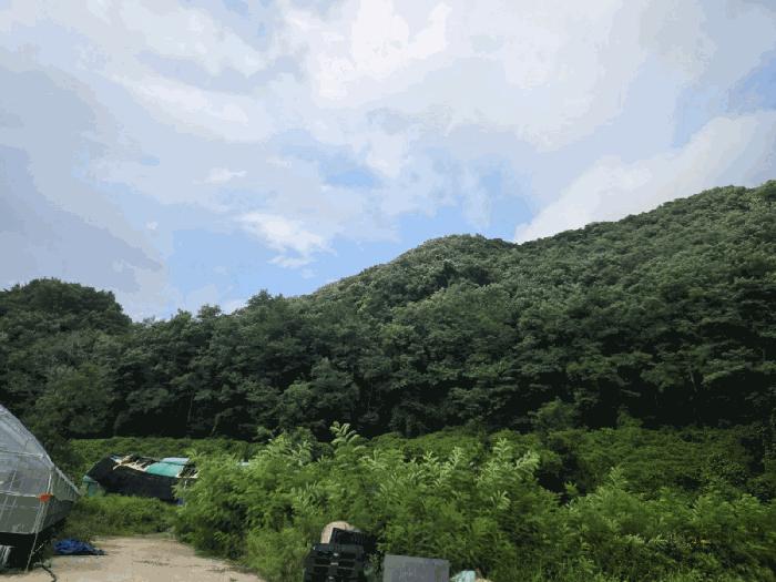 2025타경12115 경매 물건 대표 사진