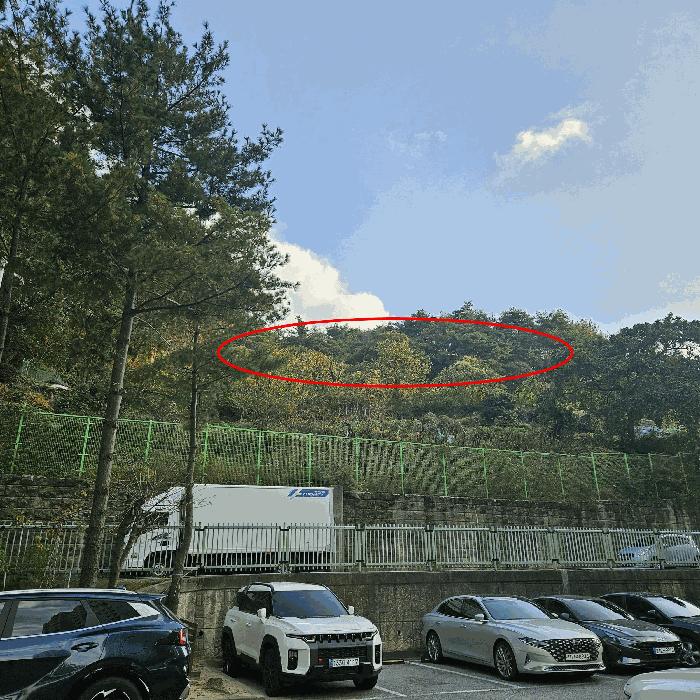 2025타경12770 경매 물건 대표 사진
