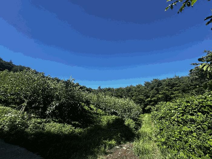 2025타경1296 경매 물건 대표 사진