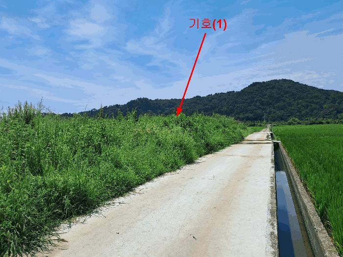 2025타경1307 경매 물건 대표 사진