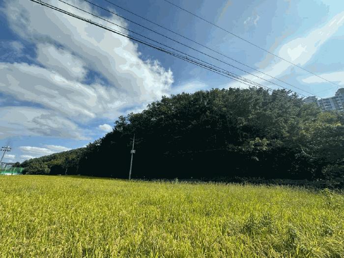 2025타경1441 경매 물건 대표 사진