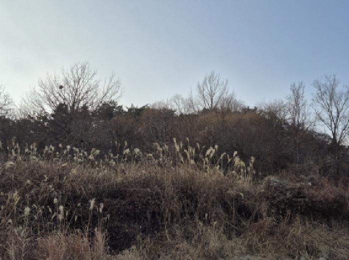 2025타경1648 경매 물건 대표 사진