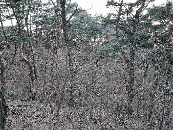 2025타경305 경매 물건 대표 사진