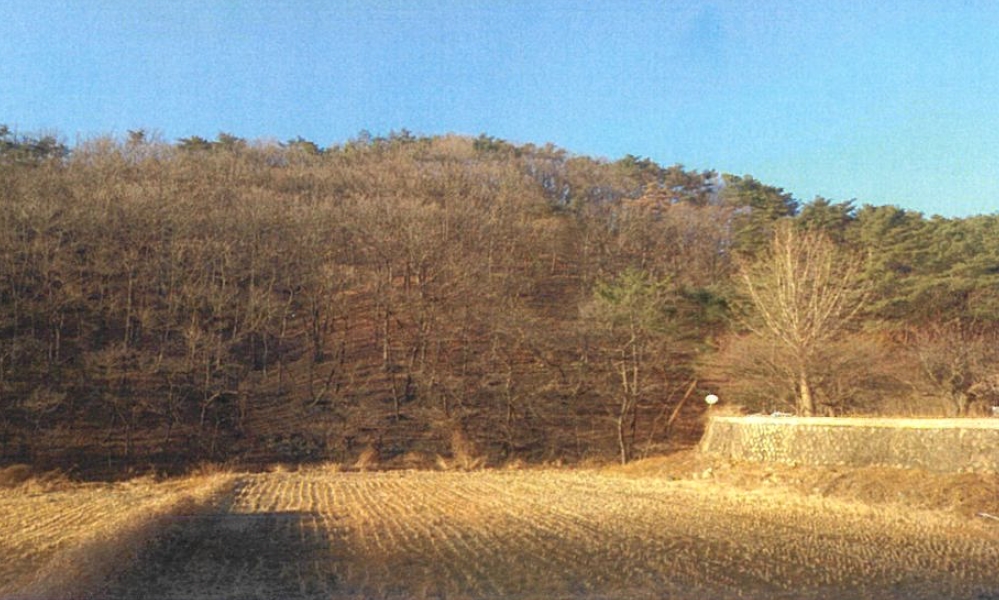 2025타경749 경매 물건 대표 사진