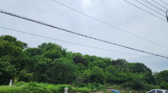 2025타경906 경매 물건 대표 사진